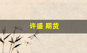 许盛 期货(许建红 期货)_https://www.gfdzclz.com_科创板_第1张